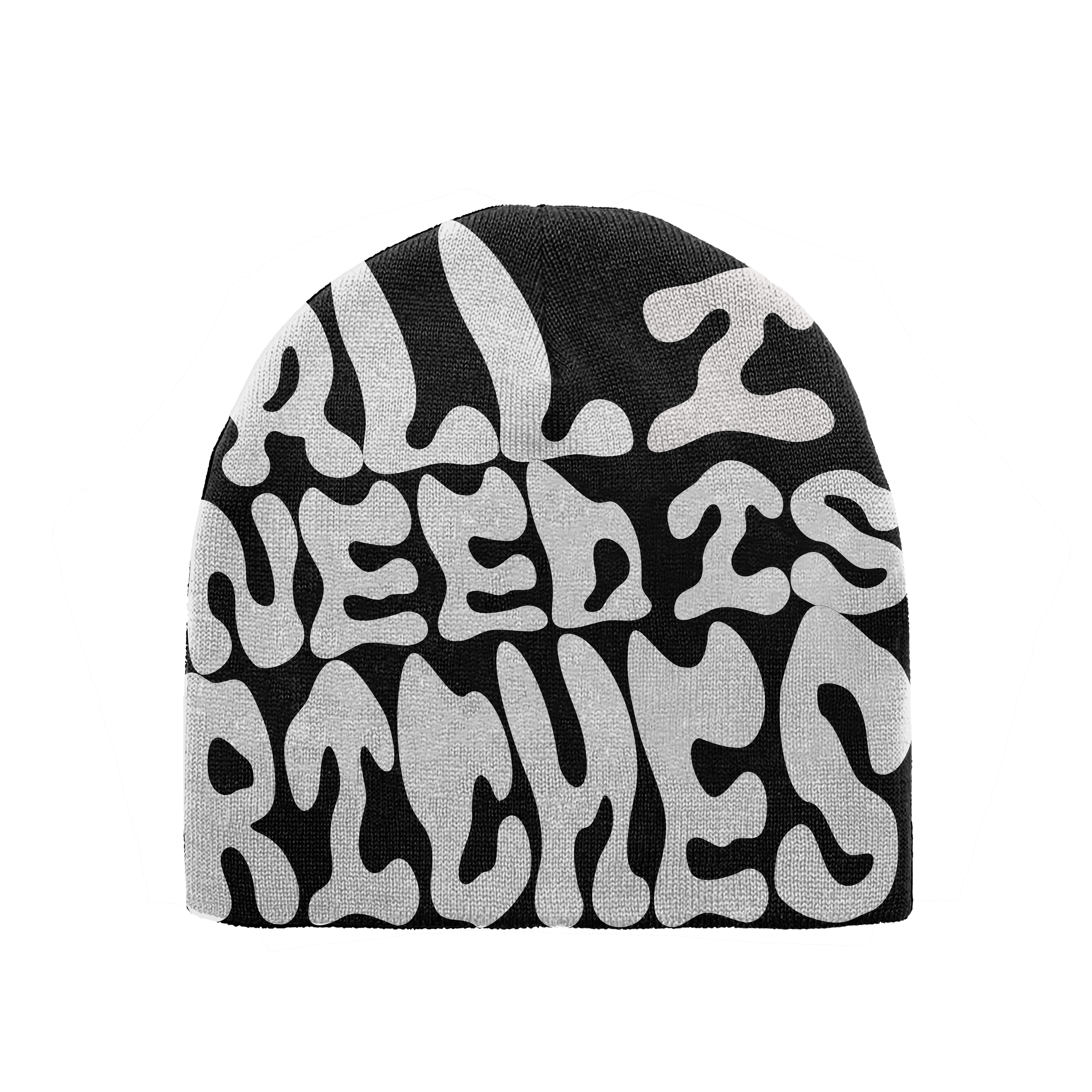 ALL I NEED IS RICHES BEANIE